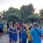 Περιστέρι έτοιμο για υψηλές πτήσεις… (ΦΩΤΟρεπορτάζ)