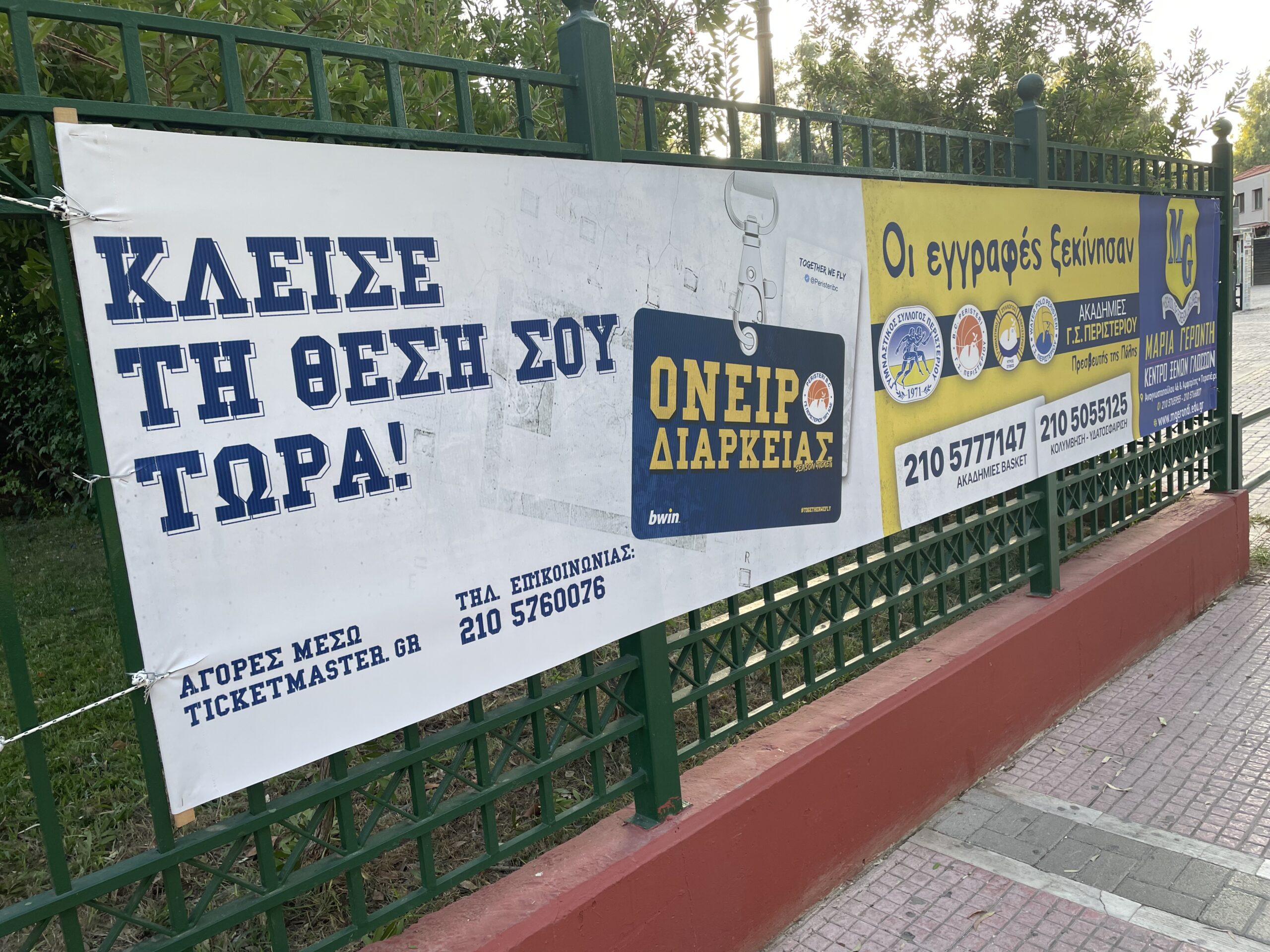 Περιστέρι έτοιμο για υψηλές πτήσεις… (ΦΩΤΟρεπορτάζ)