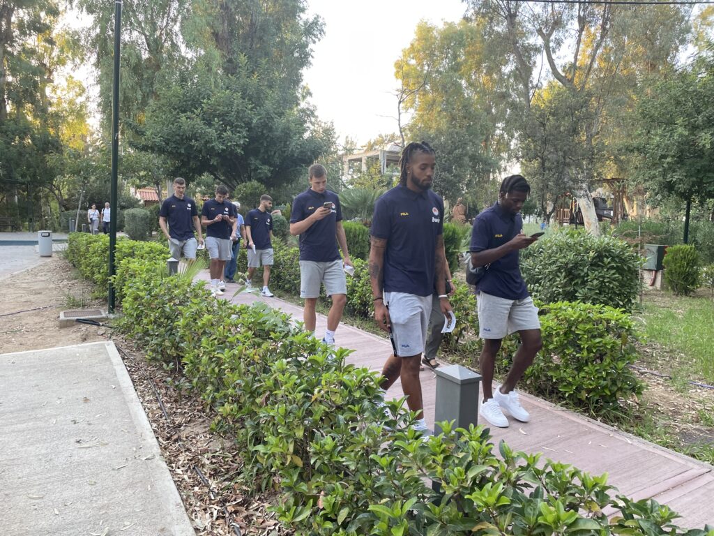 Περιστέρι έτοιμο για υψηλές πτήσεις… (ΦΩΤΟρεπορτάζ)