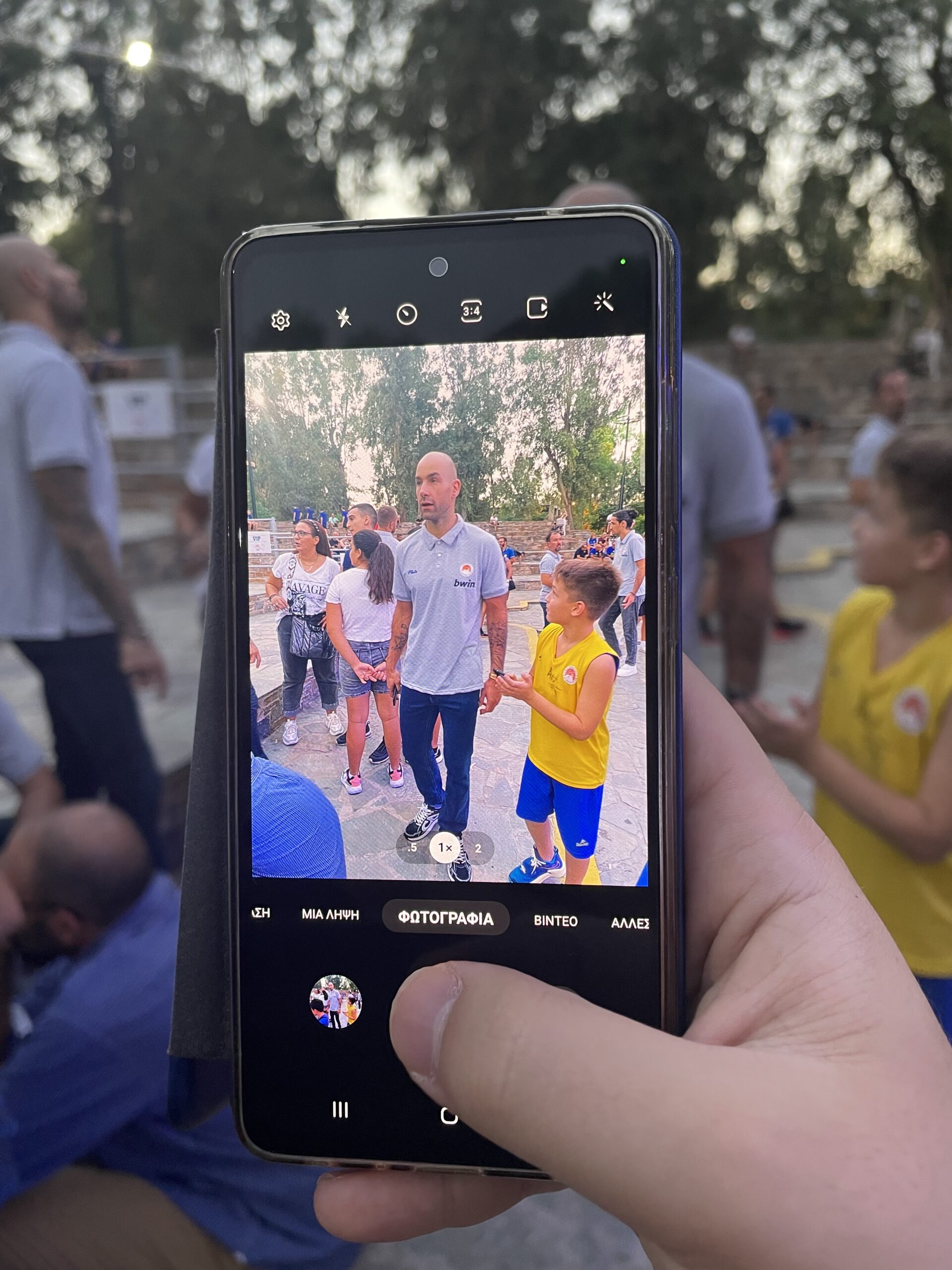 Περιστέρι έτοιμο για υψηλές πτήσεις… (ΦΩΤΟρεπορτάζ)